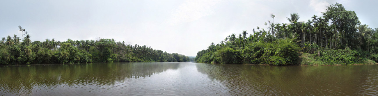 Koovery Puzha/River View