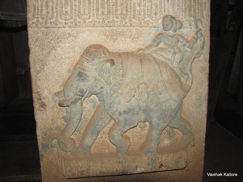 Girl riding on elephant