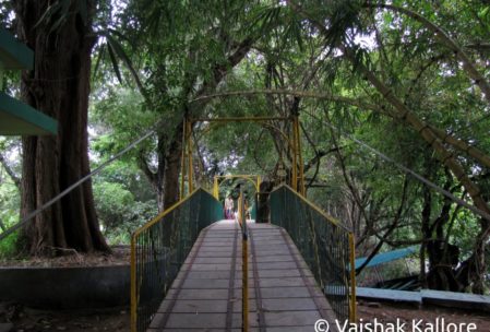 Hanging bridge at Ranganathittu