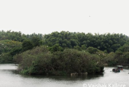 Kaveri river view at Ranganathittu