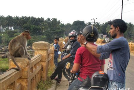 Fun time with monkey